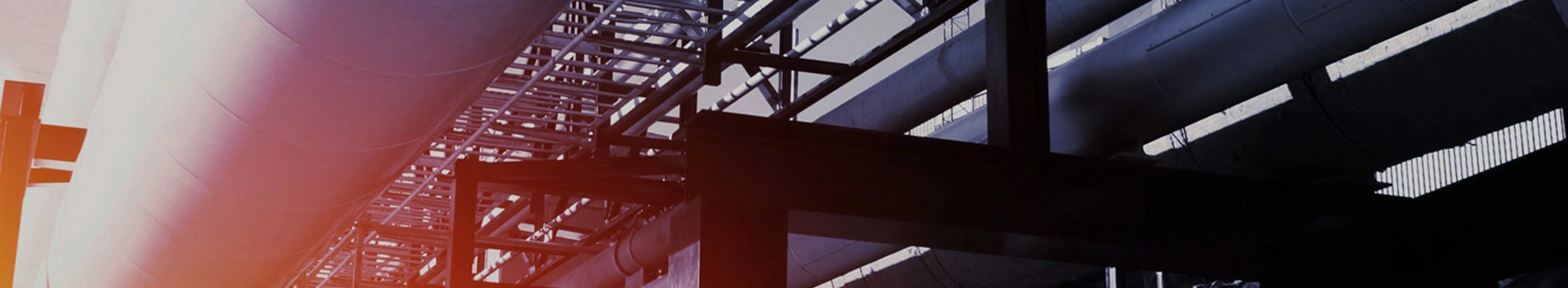 उत्पादने