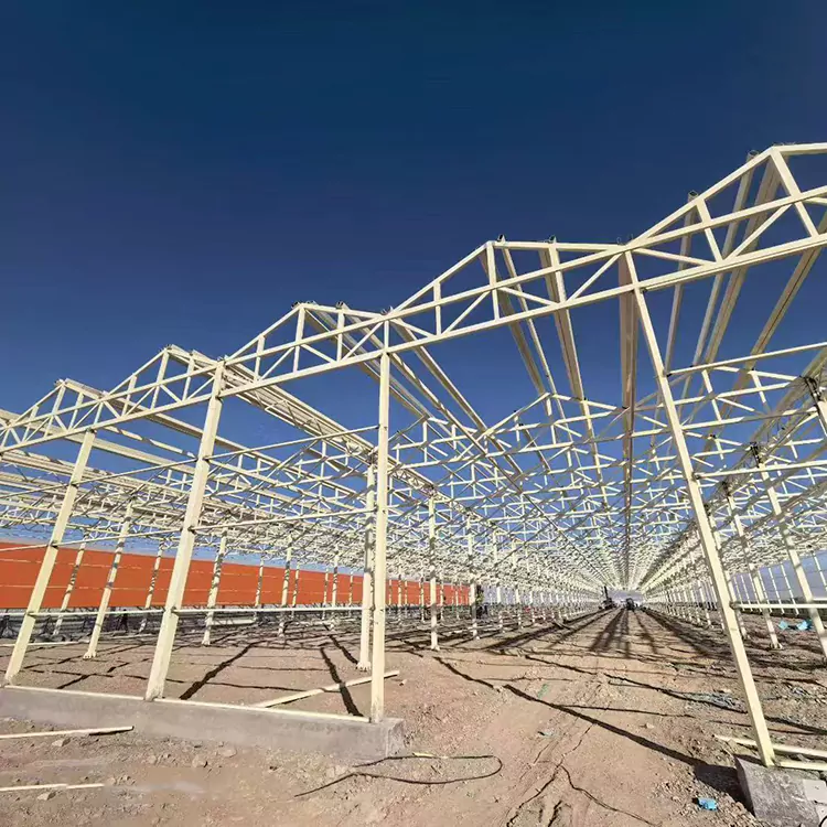 आधुनिक शेतीसाठी गॅल्वनाइज्ड स्टील ग्रीनहाऊस फ्रेम ही सर्वोत्तम निवड का आहे